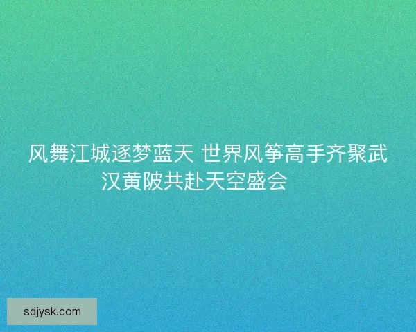风舞江城逐梦蓝天 世界风筝高手齐聚武汉黄陂共赴天空盛会 🎏